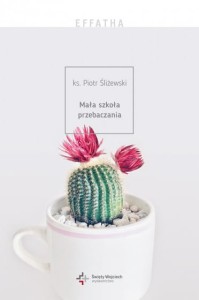 MAŁA SZKOŁA PRZEBACZANIA - Piotr Śliżewski